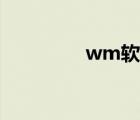 wm軟件下載（wm軟件）