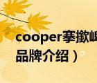 cooper搴撳崥瀹樼綉（CooperVision庫博品牌介紹）