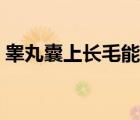 睪丸囊上長(zhǎng)毛能拔嗎（睪丸上長(zhǎng)毛能拔掉嗎）