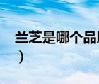 蘭芝是哪個(gè)品牌的（LANEIGE蘭芝品牌介紹）