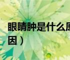 眼睛腫是什么原因快速消腫（眼睛腫是什么原因）