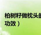 柏樹籽做枕頭的功效與作用（柏樹籽做枕頭的功效）