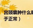 宮頸囊腫什么時(shí)候治療最好（宮頸囊腫多大屬于正常）