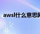 awsl什么意思網(wǎng)絡(luò)流行語（awsl什么意思）