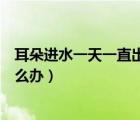 耳朵進(jìn)水一天一直出不來怎么辦（耳朵進(jìn)水一天了出不來怎么辦）