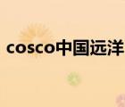 cosco中國遠洋（Cosco中遠海運品牌介紹）