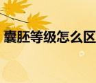 囊胚等級(jí)怎么區(qū)分圖片（囊胚等級(jí)怎么區(qū)分）