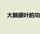 大腦額葉的功能定位（大腦額葉的功能）
