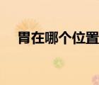 胃在哪個(gè)位置圖片大全（胃在哪個(gè)位置）