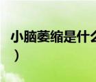 小腦萎縮是什么原因造成的（小腦萎縮是什么）