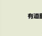 有道翻譯筆（有道比價）