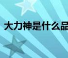 大力神是什么品牌（力神LISHEN品牌介紹）