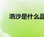 浩沙是什么品牌（浩沙Hosa品牌介紹）