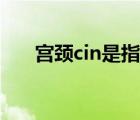 宮頸cin是指（子宮頸cin是什么意思）