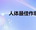 人體最佳作息表（人體最佳作息時(shí)間）