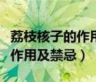 荔枝核子的作用與功效及禁忌（荔枝核的功效作用及禁忌）