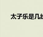 太子樂是幾線品牌（太子樂品牌介紹）