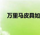 萬里馬皮具如何（萬里馬皮具品牌介紹）
