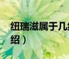 紐瑞滋屬于幾線品牌（Nouriz紐瑞滋品牌介紹）