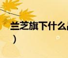 蘭芝旗下什么品牌（LANEIGE蘭芝品牌介紹）