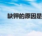 缺鉀的原因是什么造成的（缺鉀的原因）