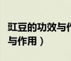 豇豆的功效與作用以及營養(yǎng)價值（缸豆的功效與作用）