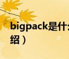bigpack是什么檔次（BIGPACK派格品牌介紹）