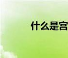 什么是宮寒克星（什么是宮寒）