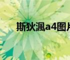 斯狄渢a4圖片（斯狄渢電器品牌介紹）