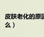 皮膚老化的原因是什么（皮膚老化的原因是什么）