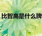 比智高是什么牌子（智高ZHIGAO品牌介紹）