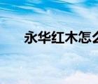 永華紅木怎么樣（永華紅木品牌介紹）
