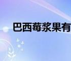 巴西莓漿果有什么功效（巴西莓的功效）