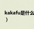 kakafu是什么牌子（板川SAKACO品牌介紹）