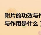 附片的功效與作用主要治什么?。ǜ狡墓πc作用是什么）