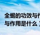 全蝎的功效與作用及禁忌是什么（全蝎的功效與作用是什么）