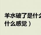 羊水破了是什么感覺會有尿意嗎（羊水破了是什么感覺）