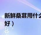 新鮮桑葚用什么酒泡最好（桑葚用什么酒泡最好）