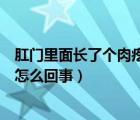 肛門里面長了個肉疙瘩是怎么回事（肛門口長了個肉疙瘩是怎么回事）