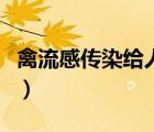 禽流感傳染給人嗎什么癥狀（禽流感傳染途徑）