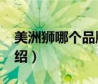 美洲獅哪個品牌好（美洲獅COUGAR品牌介紹）