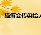 貓癬會(huì)傳染給人嗎（貓癬會(huì)傳染給人類嗎）