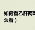 如何看乙肝兩對(duì)半的結(jié)果（乙肝三對(duì)半結(jié)果怎么看）