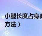 小腿長度占身高的比例（小腿長度推算身高的方法）
