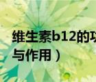 維生素b12的功效與作用（維生素b12的功效與作用）