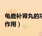 龜鹿補腎丸的功效與作用（鹿龜補腎丸功效和作用）