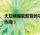 大豆磷脂軟膠囊的功效與副作用（大豆磷脂軟膠囊的功效與作用）