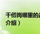 千仞崗哪里的品牌（千仞崗CHERICOM品牌介紹）
