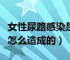女性尿路感染是怎么引發(fā)的（女性尿路感染是怎么造成的）
