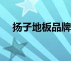 揚子地板品牌價值（揚子地板品牌介紹）